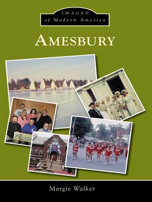 cover image of Amesbury